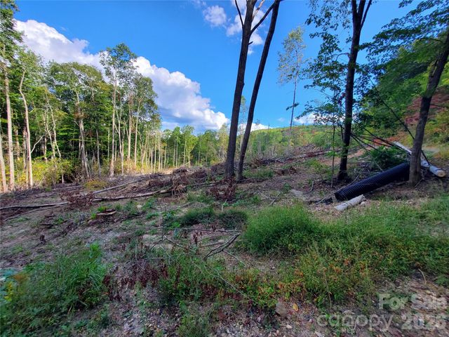 Lot 32 Parkwood Hill Road 32, Spruce Pine, NC 28777