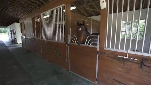 13346 Casey Road, Loxahatchee Groves, FL 33470