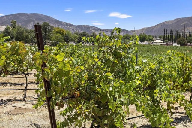 36910 Pauba Rd, Temecula, CA 92592