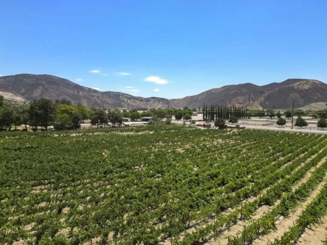 36910 Pauba Rd, Temecula, CA 92592