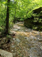 000 Coyote Ridge Road, Cassville, MO 65625
