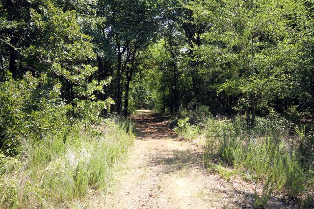 16.72AC Joe Allen Road, Pilot Point, TX 76258