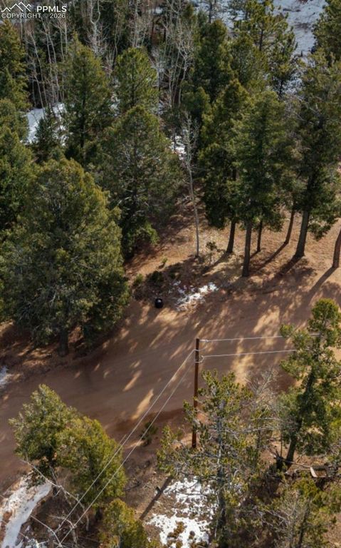 41 Tecumseh Lane, Woodland Park, CO 80863 — exterior