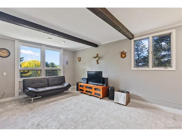 1051 Forest Hill Rd, Woodland Park, CO 80863