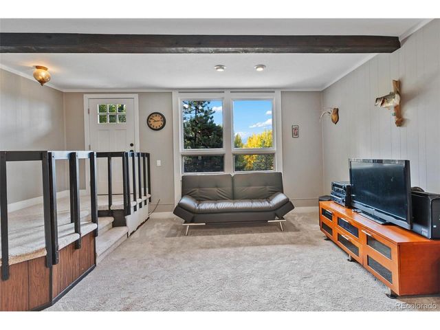 1051 Forest Hill Rd, Woodland Park, CO 80863