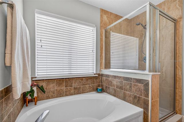 610 MOUNT OLYMPUS BOULEVARD, New Smyrna Beach, FL 32168