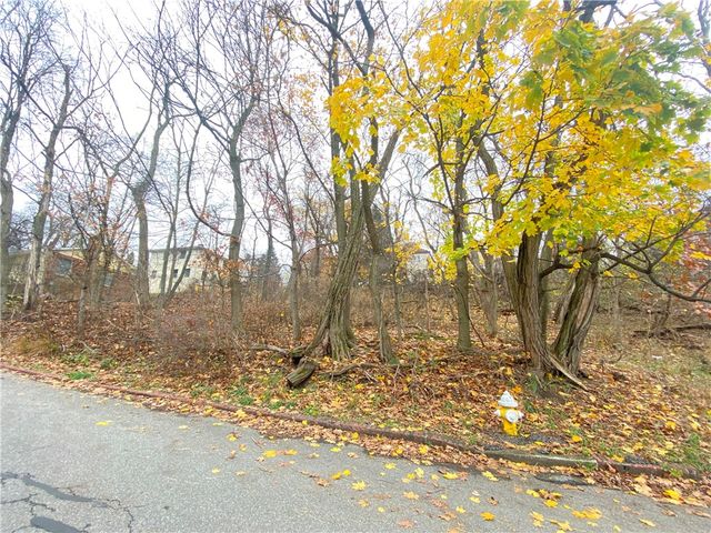TBD Cronemeyer Ave, Reserve, PA 15212