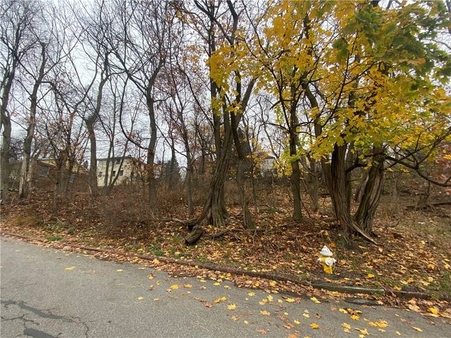 TBD Cronemeyer Ave, Reserve, PA 15212