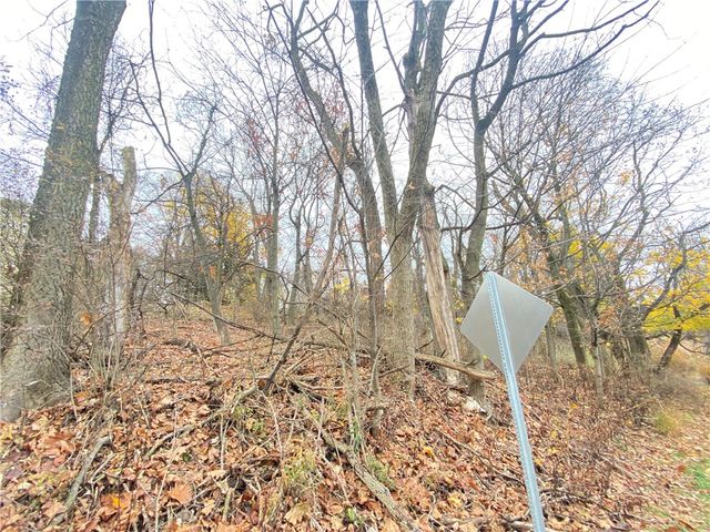 TBD Cronemeyer Ave, Reserve, PA 15212