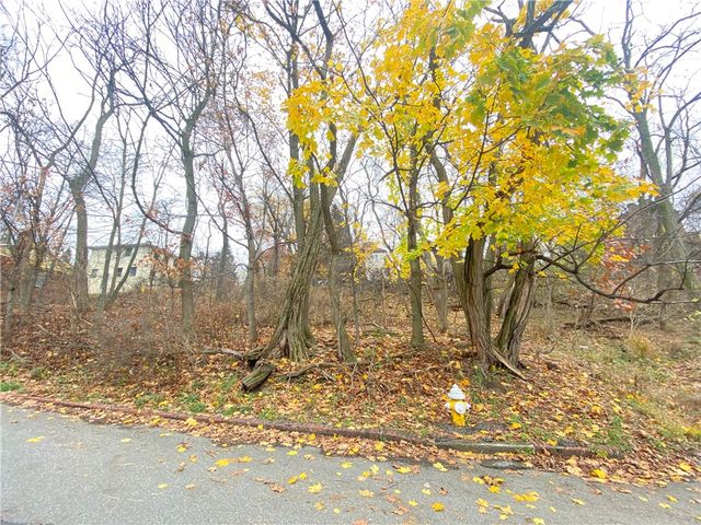 TBD Cronemeyer Ave, Reserve, PA 15212