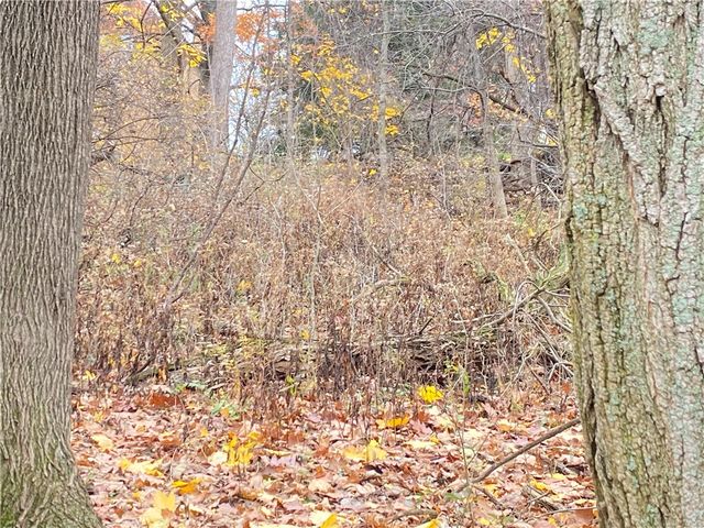 TBD Cronemeyer Ave, Reserve, PA 15212