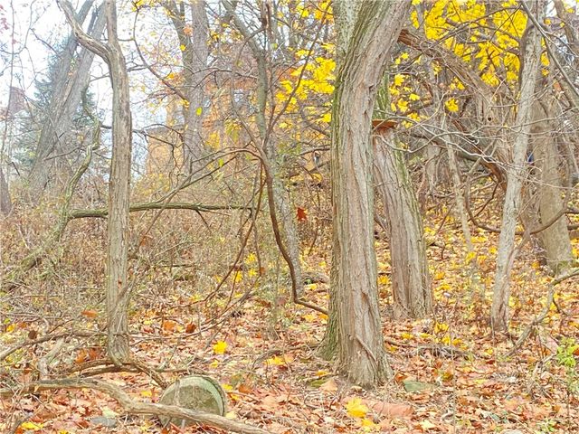 TBD Cronemeyer Ave, Reserve, PA 15212