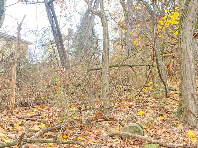 TBD Cronemeyer Ave, Reserve, PA 15212