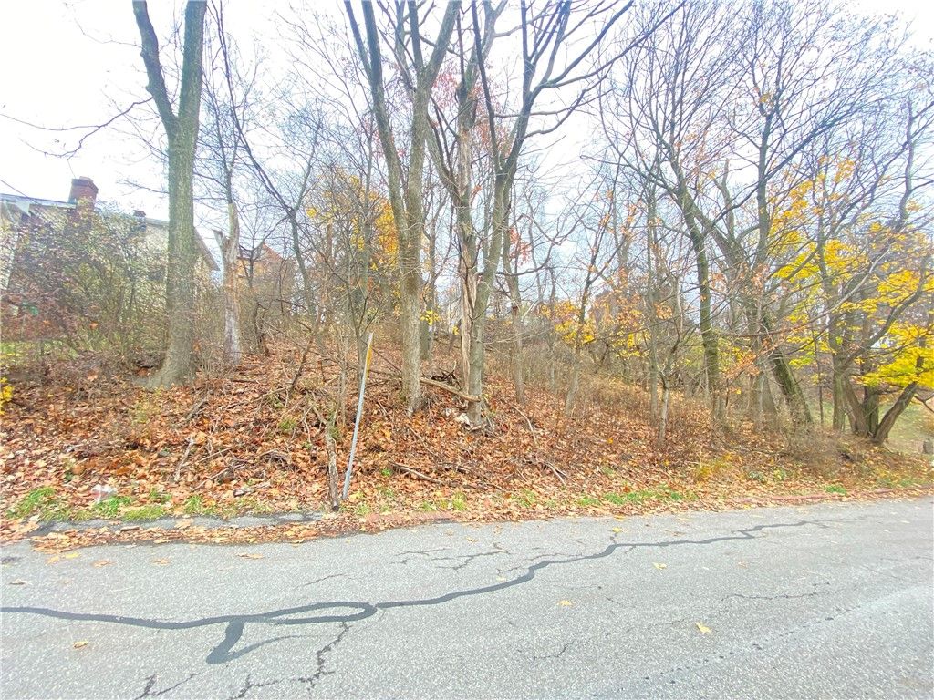 TBD Cronemeyer Ave, Reserve, PA 15212