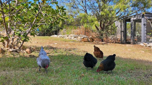 4110 Tyx TRL, Spicewood, TX 78669