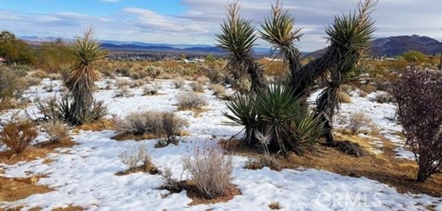 0 Desert Queen Avenue, Twentynine Palms, CA 92277