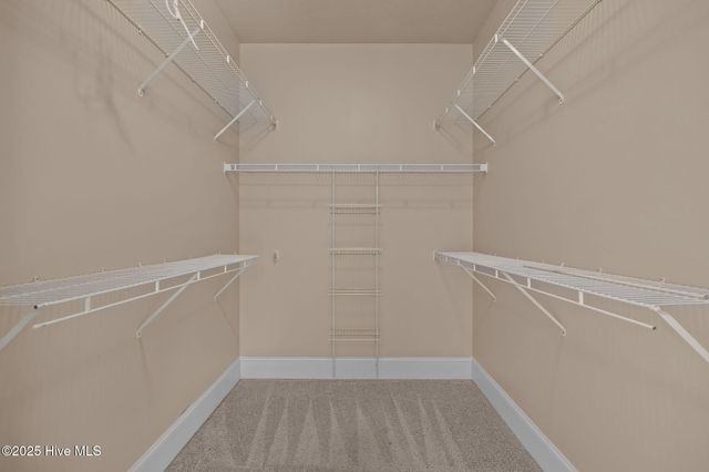 1129 Bryson Drive, Greenville, NC 27834