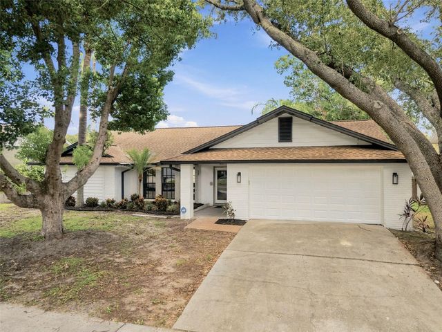 2721 BRIARPATCH DRIVE, Valrico, FL 33596