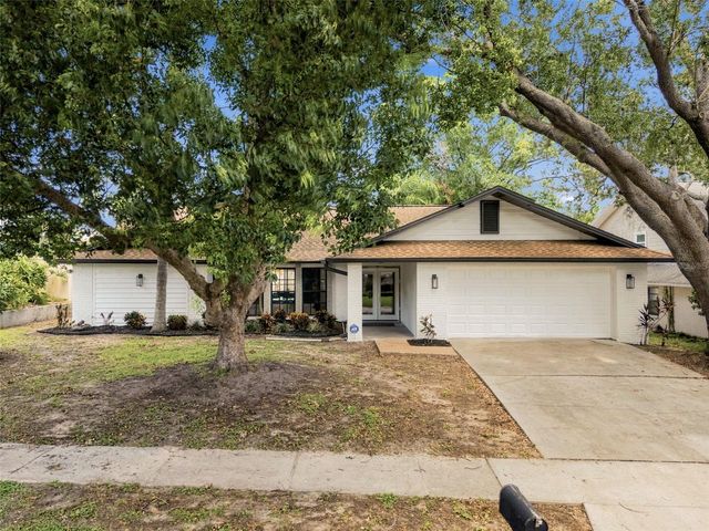 2721 BRIARPATCH DRIVE, Valrico, FL 33596
