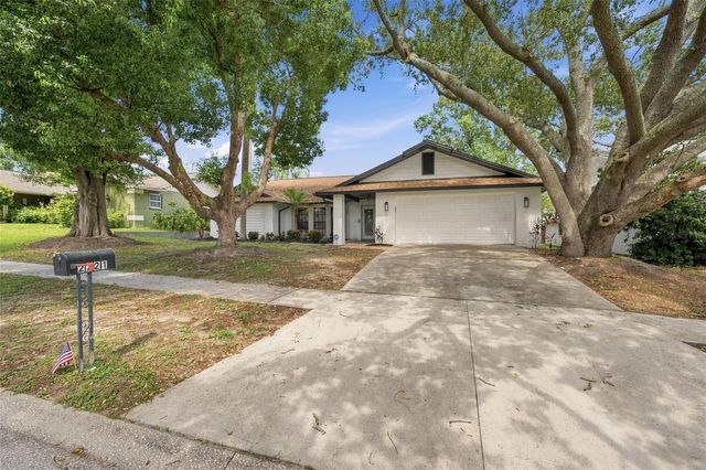 2721 BRIARPATCH DRIVE, Valrico, FL 33596