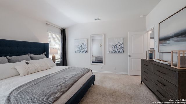 250 Squacco Heron, San Antonio, TX 78253