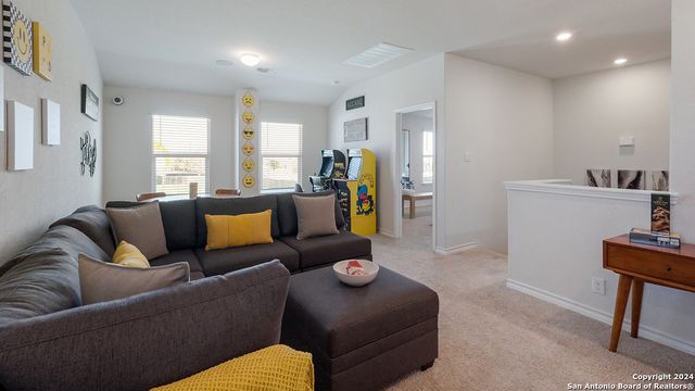 250 Squacco Heron, San Antonio, TX 78253