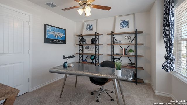 250 Squacco Heron, San Antonio, TX 78253