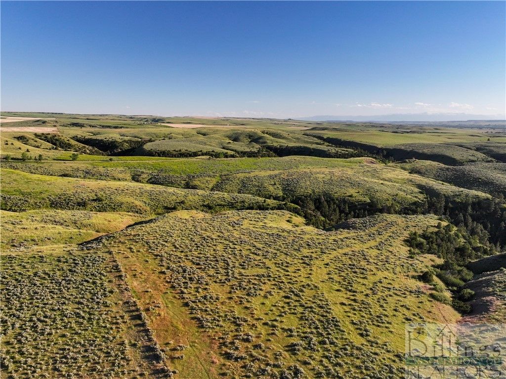 TBD Grandkids WAY, Laurel, MT 59044 photo 17