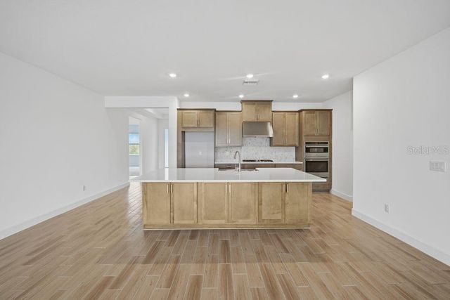 35889 EMBERVIEW DRIVE, Zephyrhills, FL 33541