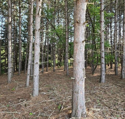 7202 21 Mile Road, Evart, MI 49631