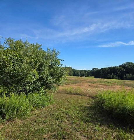 7202 21 Mile Road, Evart, MI 49631