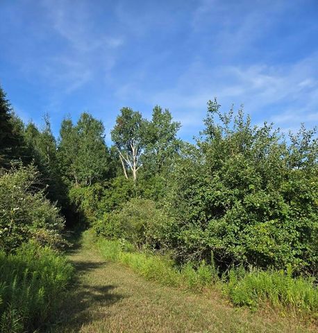 7202 21 Mile Road, Evart, MI 49631