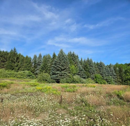 7202 21 Mile Road, Evart, MI 49631