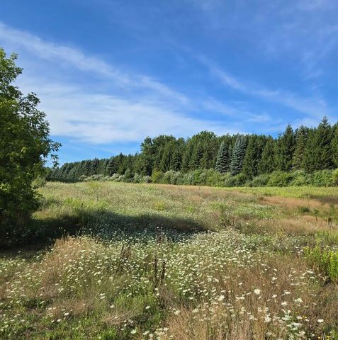 7202 21 Mile Road, Evart, MI 49631