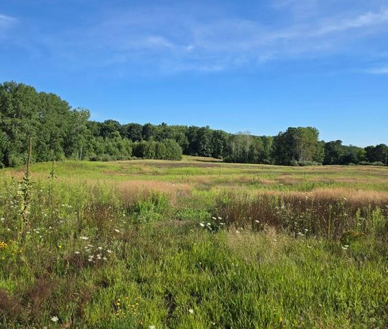 7202 21 Mile Road, Evart, MI 49631