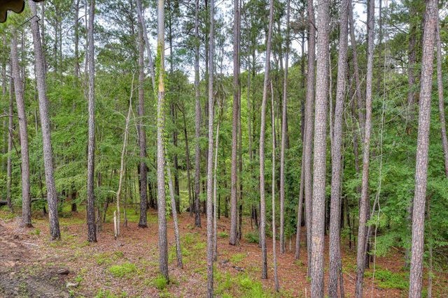 315 Coastal Cove Cove, Mc Cormick, SC 29835