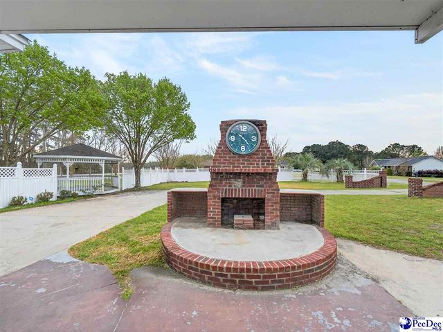 3188 Raccoon Rd, Manning, SC 29102