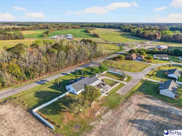 3188 Raccoon Rd, Manning, SC 29102