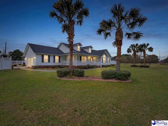 3188 Raccoon Rd, Manning, SC 29102