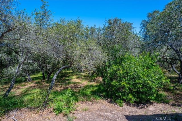1382 Tourney Hill Lane, Nipomo, CA 93444