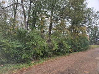 19515 Pine Haven Road Drive, Conroe, TX 77385