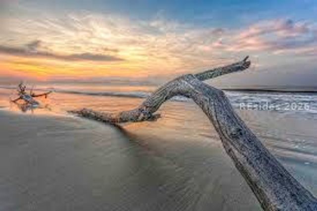 25 Deallyon Ave Apt 132, Hilton Head Island, SC 29928