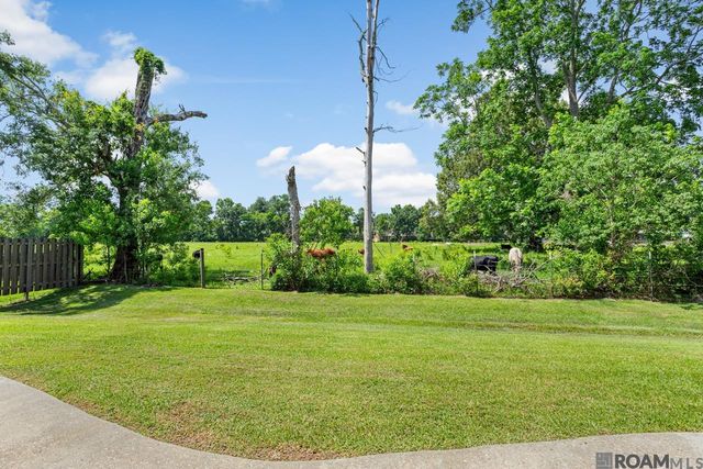 37472 Dutchtown Crossing Av, Gonzales, LA 70737