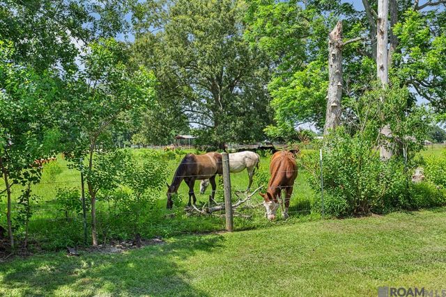 37472 Dutchtown Crossing Av, Gonzales, LA 70737