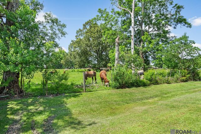 37472 Dutchtown Crossing Av, Gonzales, LA 70737