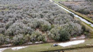 15839 NW 252nd Street, Okeechobee, FL 34972