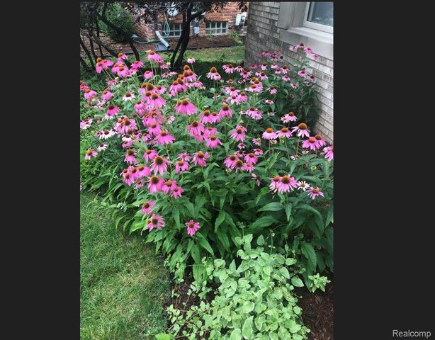 460 Streamview Court, Rochester Hills, MI 48309