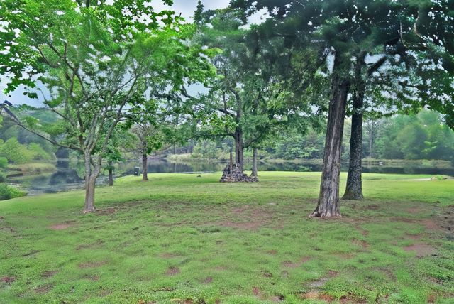 289 County Road 4192, Quitman, TX 75783