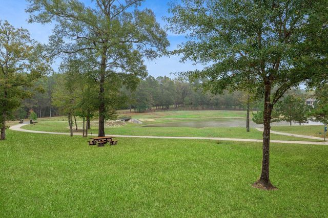 8604 Trinity Pines Court, Montgomery, TX 77316