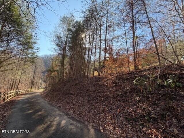 611 Antioch Church Rd, Vonore, TN 37885